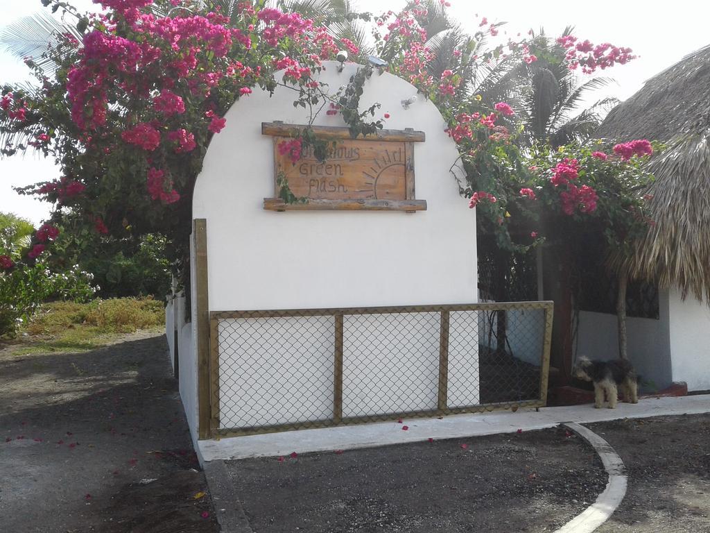 Bungalows Familiares モンテリコ エクステリア 写真